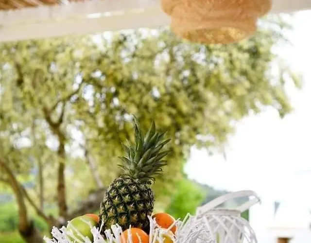 Anemi Superior Deluxe Villa *