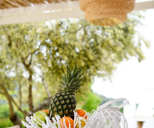 Anemi Superior Deluxe Villa *