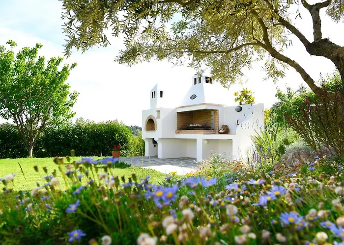 Anemi Superior Deluxe *