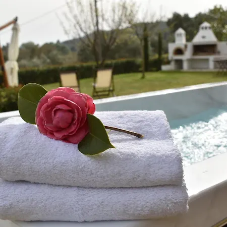 Anemi Superior Deluxe * Kolios