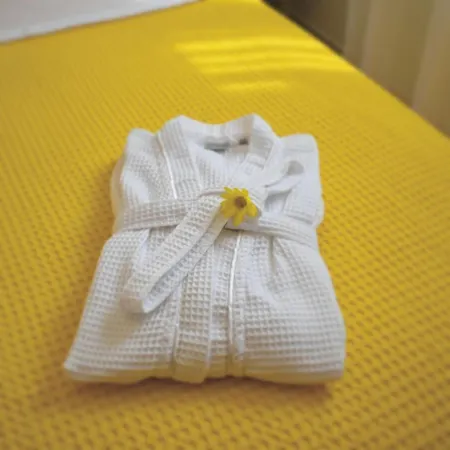 Anemi Superior Deluxe