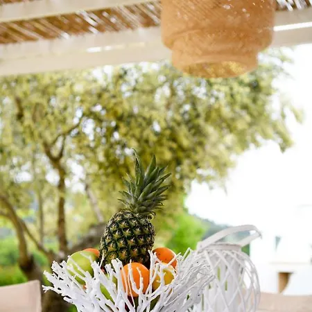 Anemi Superior Deluxe Villa *