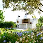 Anemi Superior Deluxe *